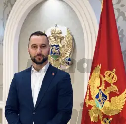 Danilo Medojevic null
