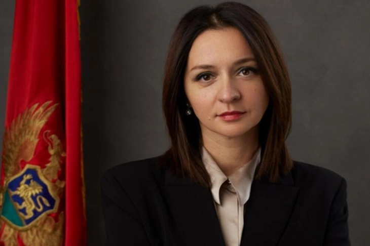 Armenko: Neistina da sam samoinicijativno poslala obavještenje Ustavnom odboru