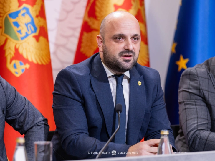 Božović: Ustavni sud funkcionalan