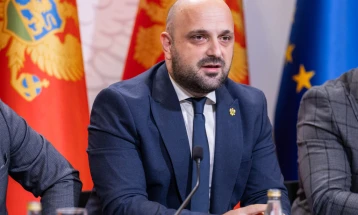 Božović: Ustavni sud funkcionalan