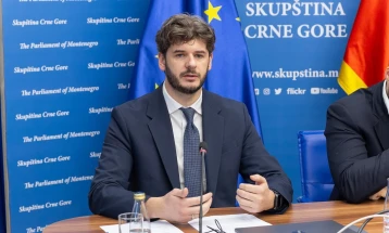 Čarapić: Nesprovođenje izborne reforme će kočiti naš put ka EU