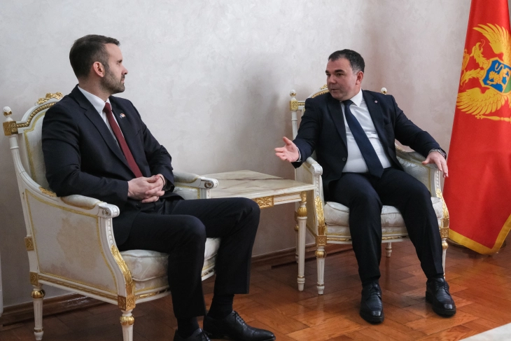 Spajić: Vlada ostaje posvećena pružanju potrebne pomoći Cetinju