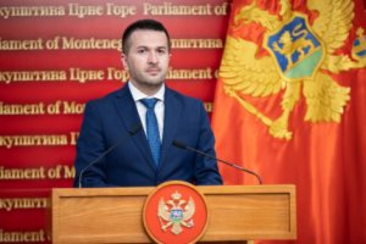 Pejović: Opozicija opstruira evropske integracije