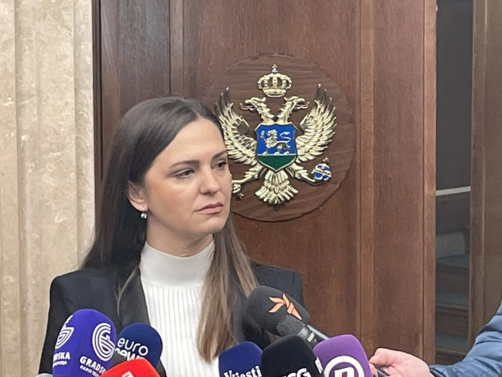Andrić: Opozicija želi nerede i incidente u Skupštini