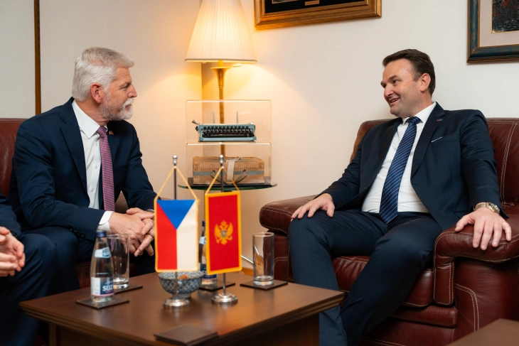 Maligni ruski uticaj najveća prijetnja stabilnosti Zapadnog Balkana