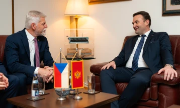 Maligni ruski uticaj najveća prijetnja stabilnosti Zapadnog Balkana