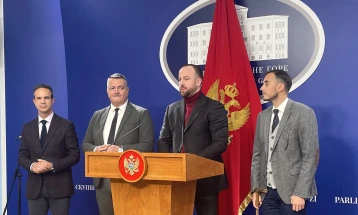 Nikolić: Mandić se odlučio za put destrukcije