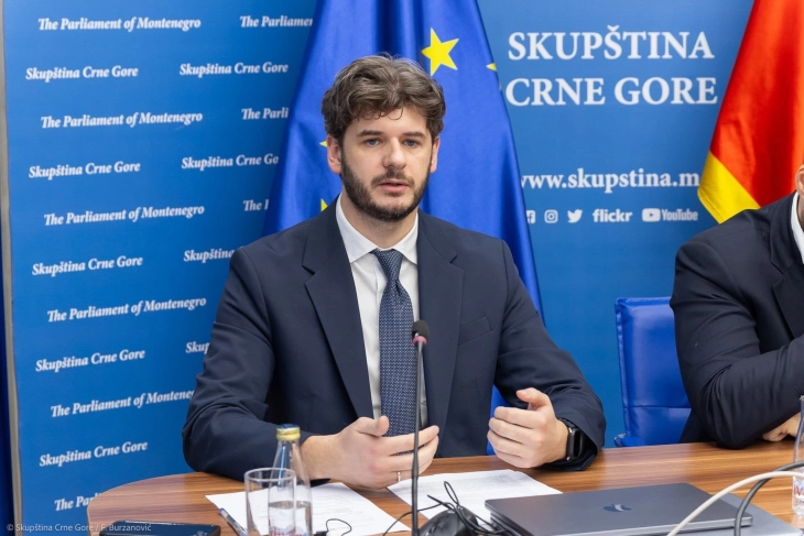 Čarapić: Opozicija srušila mogućnost zajedničkog dogovora