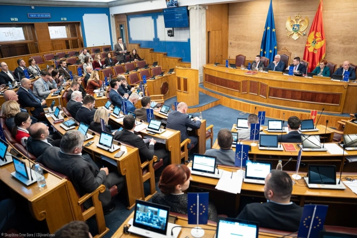 Usvojen budžet za ovu godinu