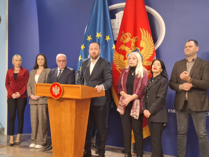 DPS se vraća u parlament