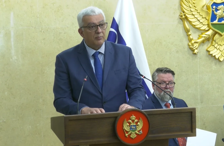 Mandić: Neophodna dalja primjena preporuka OEBS-a i ODIHR-a