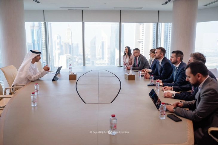 Iskustvo UAE u ekonomskoj strategiji biće od pomoći partnerima