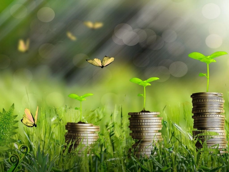 Nova mikrokreditna finansijska institucija u Crnoj Gori