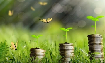 Nova mikrokreditna finansijska institucija u Crnoj Gori