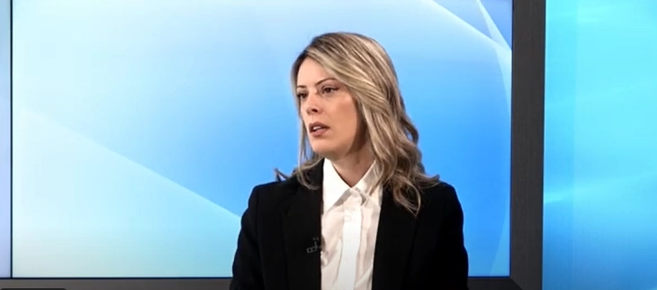 Novaković Đurović: EU parlamentarci obaviješteni o dešavanjima u vezi sa Velikom plažom