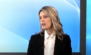 Novaković Đurović: EU parlamentarci obaviješteni o dešavanjima u vezi sa Velikom plažom