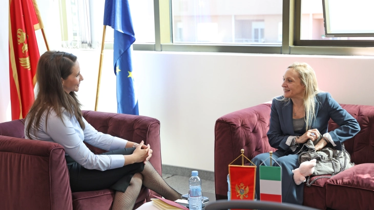 Postoji značajan potencijal za dalje jačanje ekonomske saradnje Crne Gore i Italije