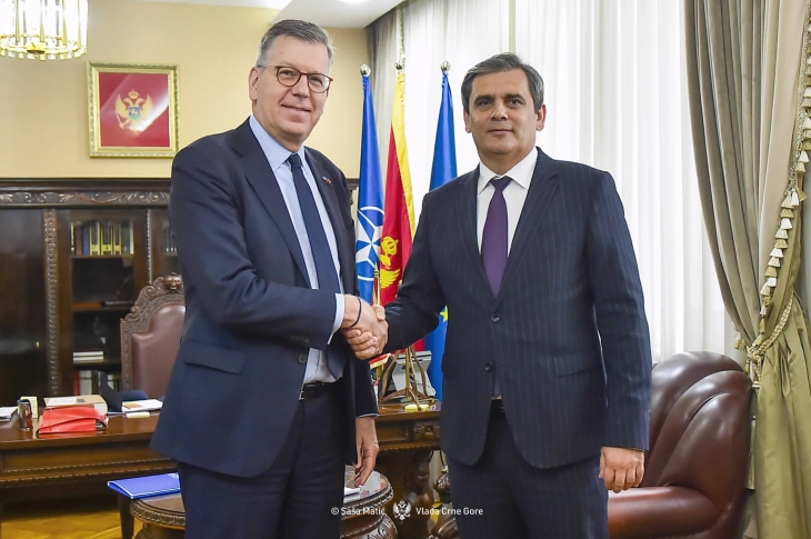 Ibrahimović: IOM važan partner Crne Gore