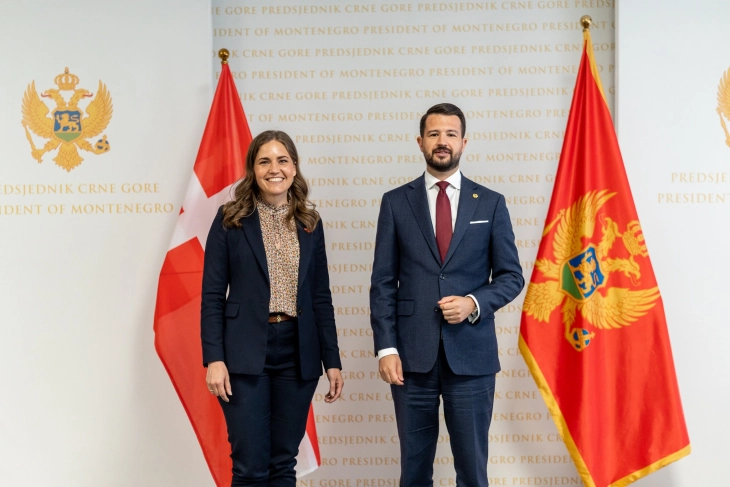 Milatović: Cijenimo podršku Danske našem evropskom putu