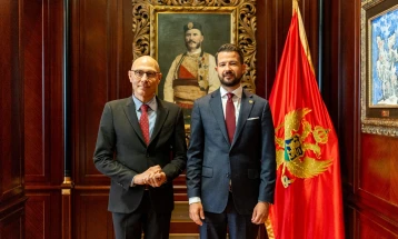 Crna Gora ostaje privržena principima i standardima ljudskih prava i sloboda