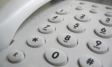 Više priključaka fiksne telefonije