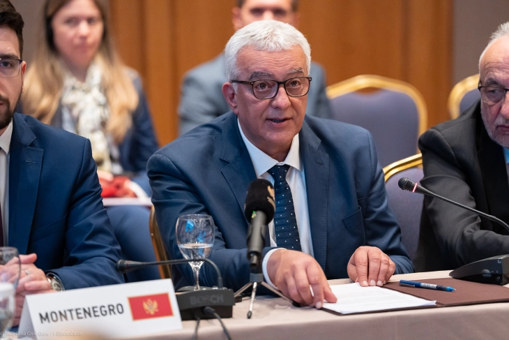 Mandić: Crna Gora duboko privržena evropskoj perspektivi