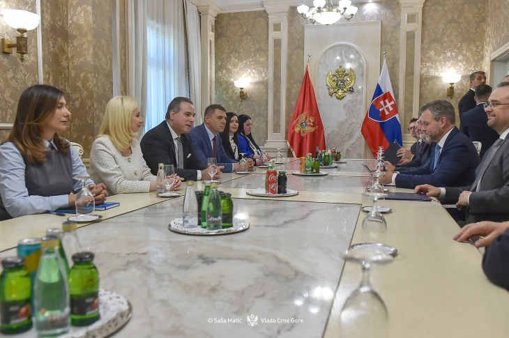 Ivanović: Ulazak Crne Gore u EU doprinio bi kredibilitetu politike proširenja
