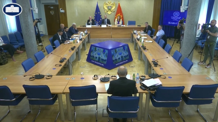 Paunović: Crne trojke bile batinaški odred