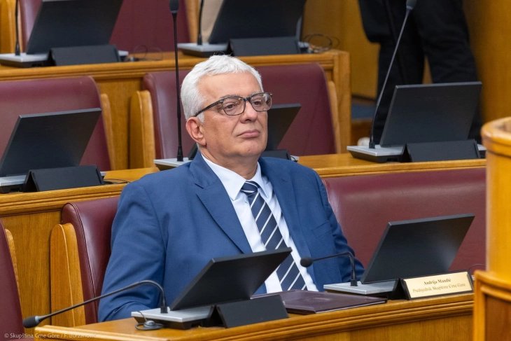 Odbijena inicijativa za smjenu Mandića