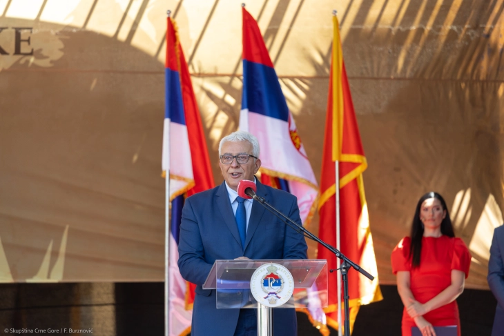 Mandić: Nevesinjska puška simbol otpora svih balkanskih naroda