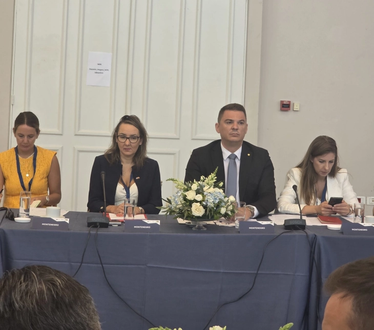 Šahmanović: Energetska zajednica strateški partner u procesu energetske tranzicije
