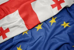 EP: Proces pristupanja Gruzije EU suspendovan do fer izbora