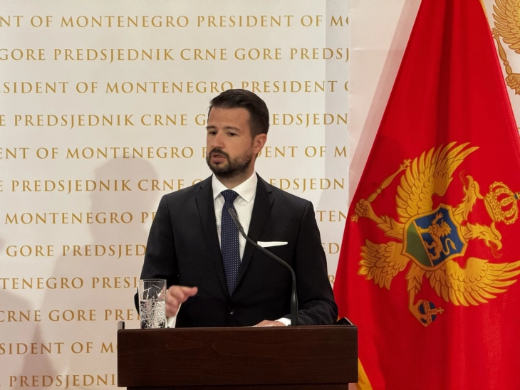 Crnogorska Plovidba’s liquidation attributed to negligence