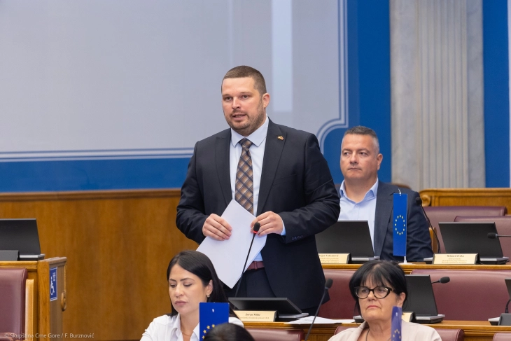Mikić: U što skorijem roku zakazati sjednicu Odbora za bezbjednost