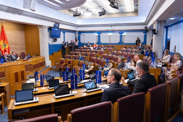 Problematizovali prihodnu stranu u državnoj kasi
