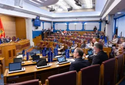 Problematizovali prihodnu stranu u državnoj kasi