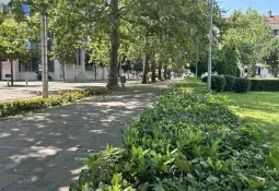 Danas do 40 stepeni