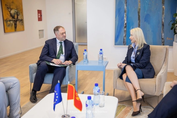 Gorčević: Posvećeni zatvaranju svih poglavlja tokom irskog predsjedavanja