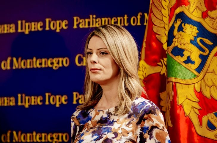 Novaković Đurović: Opasna namjera Vlade da devastira Boku kotorsku