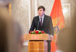 Azemović: Dijaspora intelektualni i ekonomski potencijal države