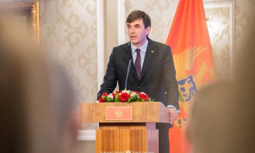 Azemović: Dijaspora intelektualni i ekonomski potencijal države