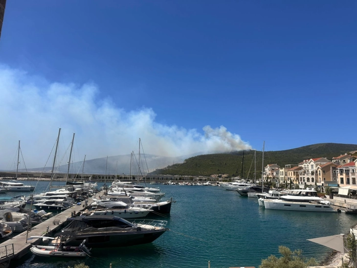 Požar u tivatskom dijelu Luštice, naselje i rezidenti Luštice Bay bezbjedni