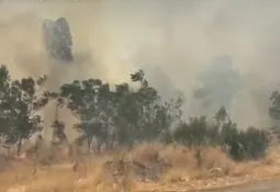 Veliki požar na Ćemovskom polju, vatrogasci na terenu