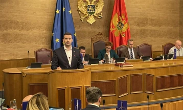 Spajić danas odgovara na pitanja poslanika