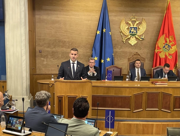 Spajić: Sprovođenje izborne reforme istorijski uspjeh