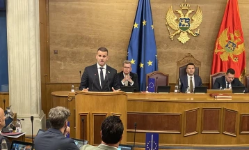 Spajić: Sprovođenje izborne reforme istorijski uspjeh