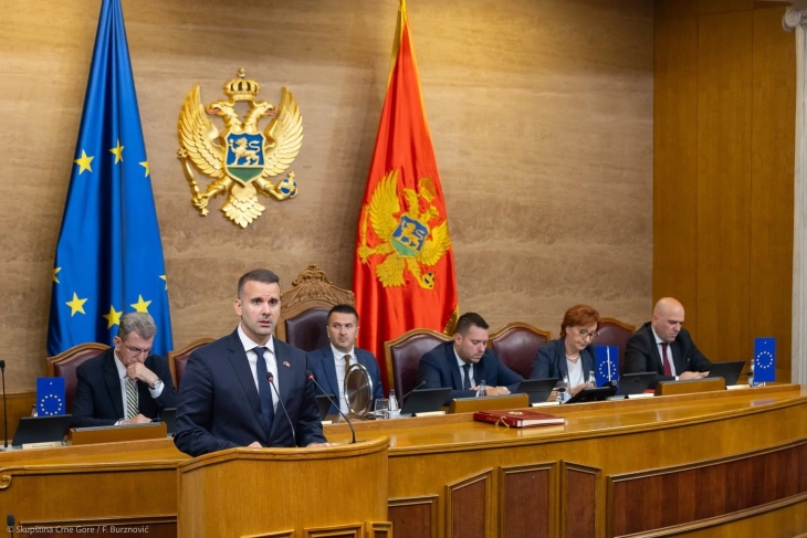 Spajić: Vetingom ćemo stvoriti profesionalnu i efikasnu službu