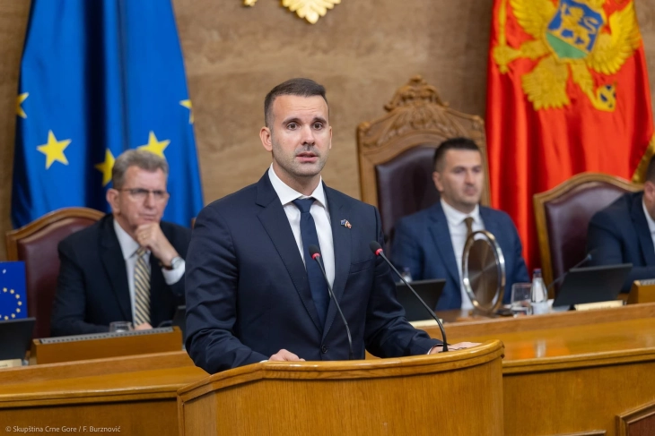 Spajić: Ne čekaju nas vanredni izbori, idemo kao evropskoj budućnosti