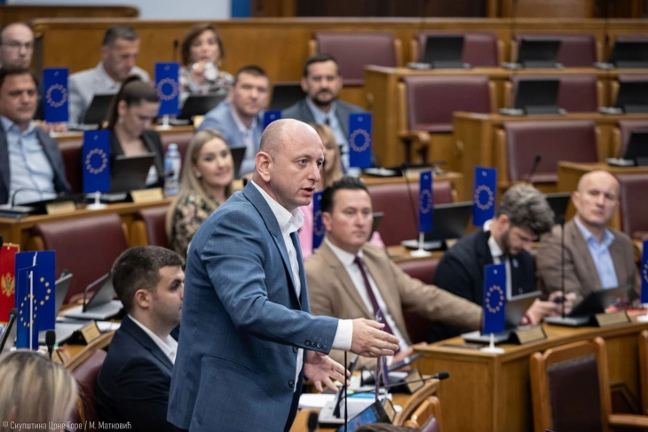 Knežević: Ponovo ćemo predložiti zakon o amnestiji