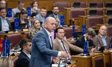 Knežević: Ponovo ćemo predložiti zakon o amnestiji